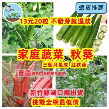 🔥快速收成🔥日本丸莢黃秋葵種子 水果秋葵 清脆好吃 3個月採收 陽台盆栽 庭院菜園 新手必種 高產量 健康蔬菜
