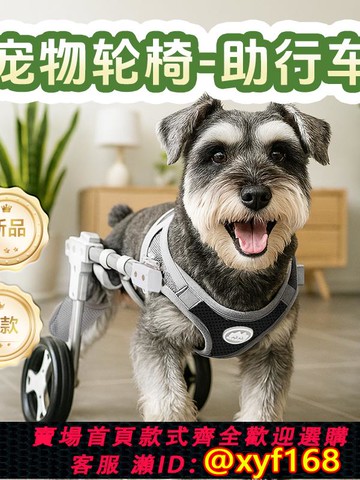 {可打統編 保固一年}狗輪椅后肢癱瘓康復小型犬代步殘疾車貓輔助泰迪寵物狗狗后腿支架