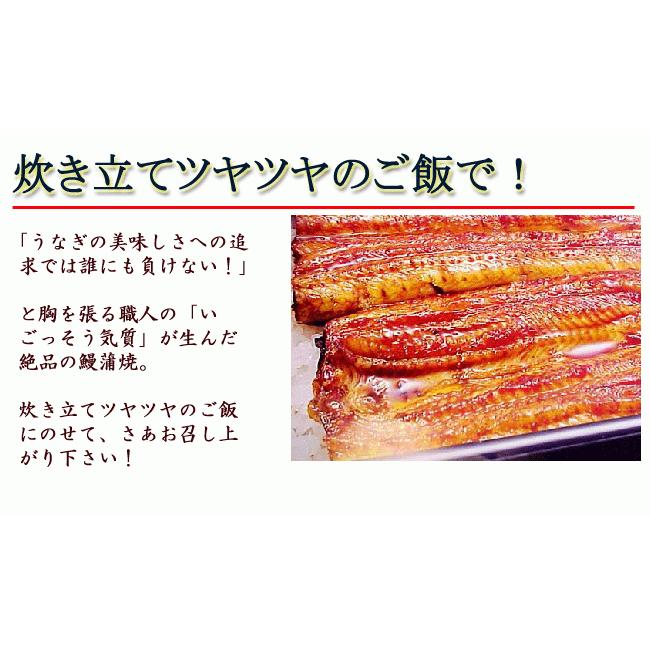 うなぎ蒲焼き 四万十うなぎ（株） 約150g 特大一尾まるごと 高知産 うなぎ ウナギ 鰻 蒲焼き 国産 四万十川 土用丑の日 敬老の日 ギフト お歳暮 お中元