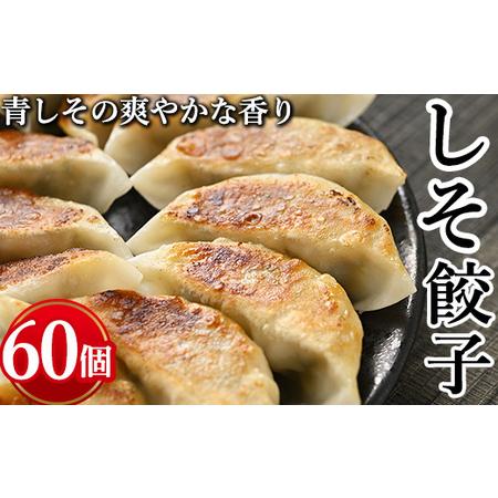 ふるさと納税 しそ餃子　計60個(20個入り×3) ※着日指定不可 栃木県宇都宮市