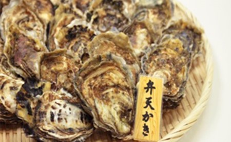 厚岸町 新ブランド『 弁天かき 』 Mサイズ 18個  北海道 牡蠣 カキ かき 生食 生食用 生牡蠣