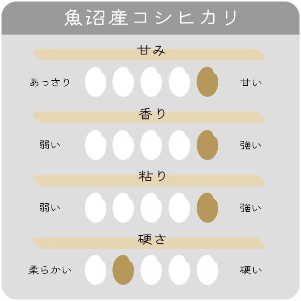 新米 20kg 魚沼産コシヒカリ お米 20キロ 令和5年産 こしひかり 送料無料 白米 産直 精米 5kgx4袋