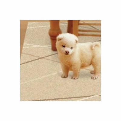 ペット 滑り止め マット シート 犬 老犬 防水 拭ける カーペット フローリング 床 滑らない 安い 65 90 1畳 ベージュ 通販 Lineポイント最大get Lineショッピング