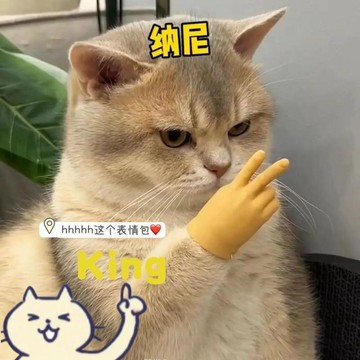 迷你貓咪手指手套 柔軟軟膠質地親膚無異味 比耶剪刀手趣味造型設計 搞怪整蠱互動擼貓專用小道具閒暇打發時間解壓小玩具