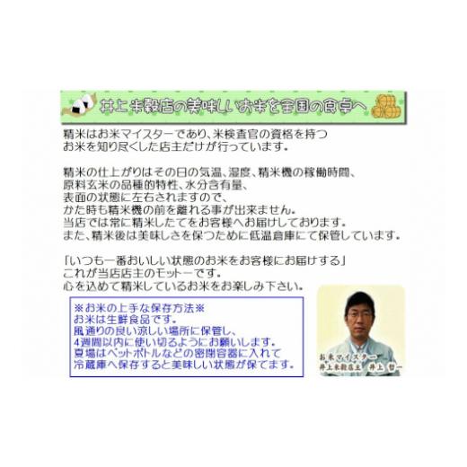 ふるさと納税 新潟県 阿賀野市 12ヶ月定期便 新之助 4kg×12回 計48kg 白米 精米 井上米穀店 1I08096