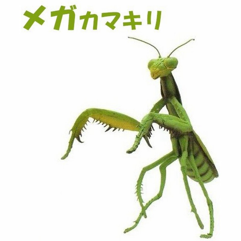 メガシリーズ メガカマキリ 巨大カマキリ フィギュア 人形 おもちゃ 株式会社アイコ Af 044 通販 Lineポイント最大0 5 Get Lineショッピング
