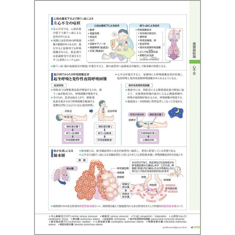 病気がみえるvol.2循環器