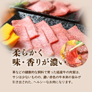 鹿児島県産黒毛和牛焼き肉カルビ　K098-001 薩摩 さつま 大人気牛肉 人気牛肉 鹿児島産牛肉 鹿児島県産牛肉 大人気黒毛和牛 人気黒毛和牛 鹿児島産黒毛和牛 鹿児島県産黒毛和牛 大人気焼肉 人気焼肉 鹿児島産焼肉 鹿児島県産焼肉 大人気カルビ 人気カルビ 鹿児島産カルビ 鹿児島県産カルビ 大人気焼き肉 人気焼き肉 鹿児島産焼き肉 鹿児島県産焼き肉