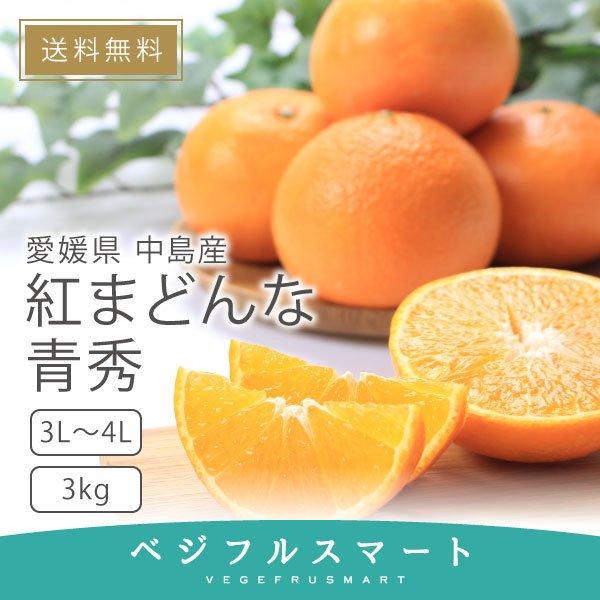 紅まどんな 贈答用 青秀 愛媛県産 みかん お歳暮 3L〜4Lサイズ 8〜10玉 3kg 送料無料