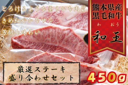 FKK19-534_熊本和王 厳選ステーキ盛り合わせセット 450g　訳あり