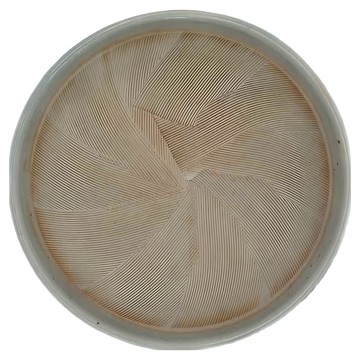 Minoya 美濃燒 手繪淘氣磨缽 日本製  L  1個