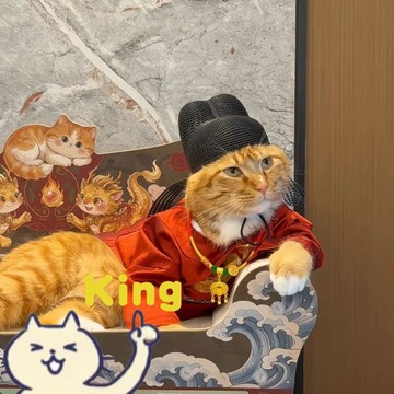 【臺灣出貨】貓咪狀元弼馬溫官服造型衣 搭配烏紗帽變裝拍攝打卡 各體型毛孩專用中式 cos 服 柔軟親膚穿脫簡單不拘