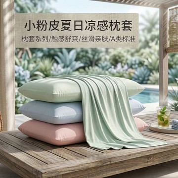 涼感枕套 清涼舒適  夏季 冰絲枕套 涼枕套 涼感枕頭套 冰皮 單一 萬用枕芯 內膽套巾 枕套