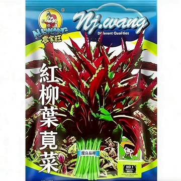 【台灣人氣葉菜】原裝紅柳葉莧菜種子｜耐熱快長 颱風天照樣收｜煮湯燙青菜都甘甜｜保證對版 產量超高｜附超簡單懶人種法｜現貨