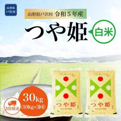 ふるさと納税 戸沢村  特別栽培米 つや姫 定期便 30kg(10kg×3回お届け)山形県 戸沢村