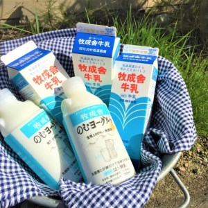 牧成舎 低温殺菌牛乳 3本 無添加 飲むヨーグルト 2本 飛騨産生乳100%使用 [A0104]