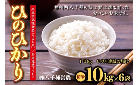 兵庫県福崎町産 ひのひかり 八千種米10kg×６回 精米 ６ヶ月連続お届け 兵庫県認証食品（うるち米）兵庫推奨ブランド