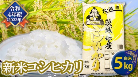 《 12 16入金確認分まで 年内配送 》 コシヒカリ 白米 5kg 米 お米 コメ おいしい 茨城県産 精米 国産 ブレンド 白米 こしひかり