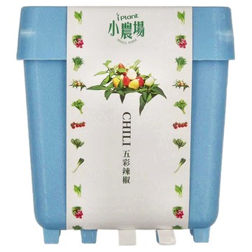 iPlant 積木農場 盆栽  五彩辣椒  12 x 12 x 13.5cm