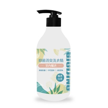 淨極勁 【GIGIJING】抑菌消臭洗衣精500ml