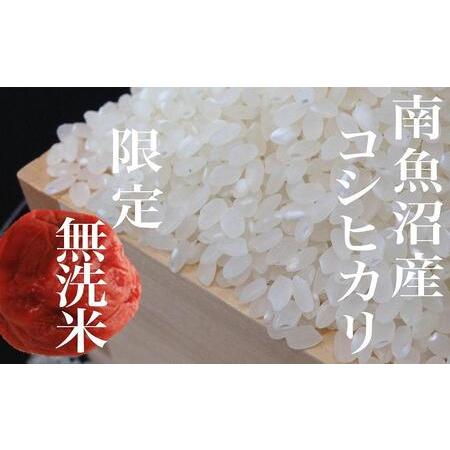 ふるさと納税 《無洗米》南魚沼産コシヒカリ10Kg×全3回 新潟県南魚沼市