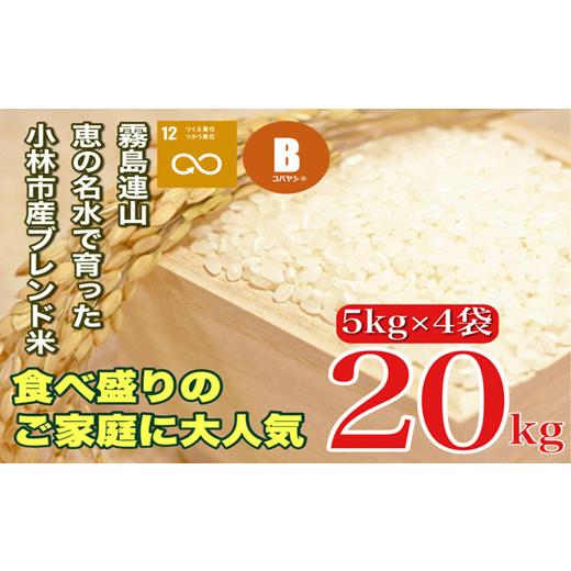 ふるさと納税 宮崎県 小林市 湧水で育った小林市産ブレンド米　20ｋｇ