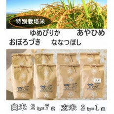 令和5年産　特別栽培米 あやひめ(白米・玄米)・おぼろづき・ななつぼし・ゆめぴりか(合計16kg)