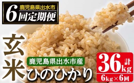 i542 ＜定期便・計6回(連続)＞鹿児島県出水市産ひのひかり玄米＜(3kg×2袋・計6kg)×全6回＞