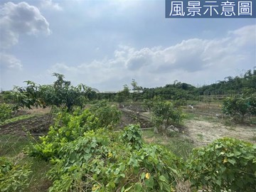 未來捷運紫線旁優質農地~敬請提早卡位｜高雄市燕巢區湖內段