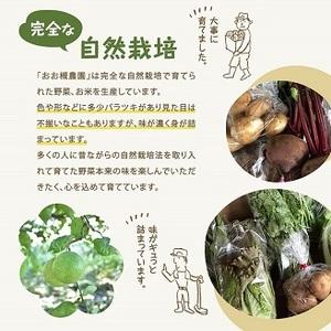 ふるさと納税 KAG-2　百笑オーガニック野菜セット（8〜10品目） 茨城県鹿嶋市