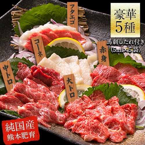 馬刺し 熊本 5種盛り 贈り物 馬刺 ギフト お取り寄せグルメ 国産 馬肉 送料無料 純国産 皿盛り 大トロ 中トロ 7-14営業以内発送予定(土日祝除く)