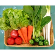 旬野菜の詰め合わせ「大地の恵みセット」5～6種