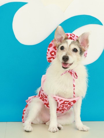 寵物滿版可愛印花連身比基尼(附帽子)