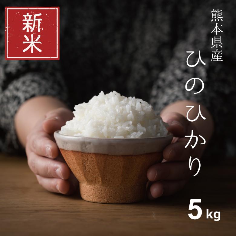 新米 米 お米 5kg 送料無 ひのひかり 熊本県産 令和5年産 白米5kg ヒノヒカリ 贈答用 ギフト