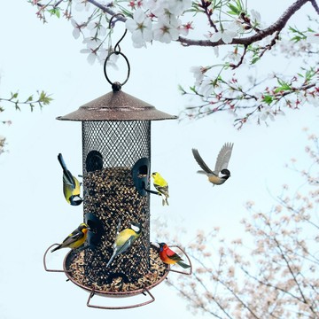 免運/可開票 快速出貨 鐵藝鳥食盒鳥籠庭院戶外喂鳥器防水懸掛式喂食器陽臺花園喂鳥神器
