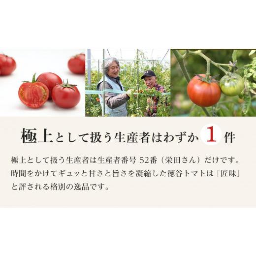 ふるさと納税 高知県 高知市 特選徳谷トマト約2kg　生産者52番　フルーツトマト