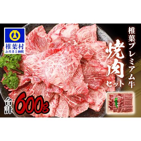 ふるさと納税 宮崎県産 椎葉プレミアム牛 焼肉セット 宮崎県椎葉村