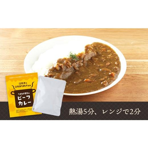 ふるさと納税 兵庫県 淡路市 淡路島の牛肉とたまねぎ使用　今井ファームビーフカレー　200ｇ×10食