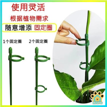 植物支撐固定桿 植物支架 園藝支架 輔助植物生長支撐桿 觀音蓮 植物 盆栽 支撐架 支架 支撐桿