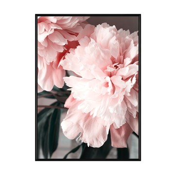 花開富貴 牡丹I  40 x 30cm  黑色