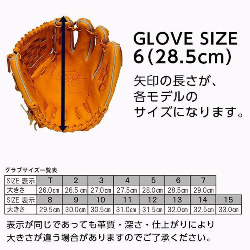 ワールドペガサス 硬式 軟式 グローブ 内野手 野球 WGNGPT461 右投げ