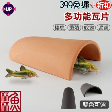 《魚杯杯》🔔新北實體店鋪維修保固🔔UP 多功能瓦片【造景裝飾】陶瓷-躲藏-繁殖-MF精緻陶瓷系列-異形-鼠魚-莫絲-魚缸