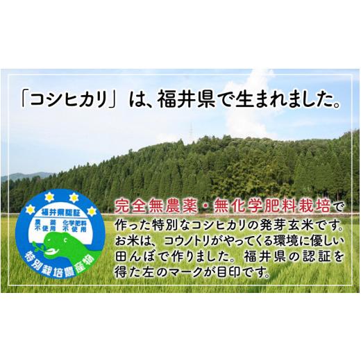 ふるさと納税 福井県 坂井市 無農薬コシヒカリ特選 真空パック5kg〜玄米以上の栄養価と白米に近い柔らかさ〜【2023…