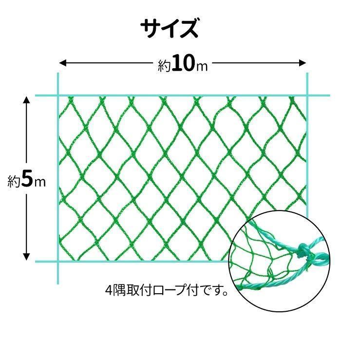 グリーンネット 5m×10m 25mm目 防球ネット 折りたたみ 鳥よけネット 養生ネット グリーン 野球 防鳥ネット カラス グリーンネットフェンス