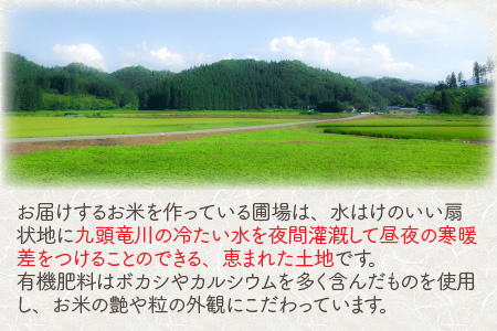 福井県坂井市丸岡町産 コシヒカリ 10kg（玄米） [A-11303_02]