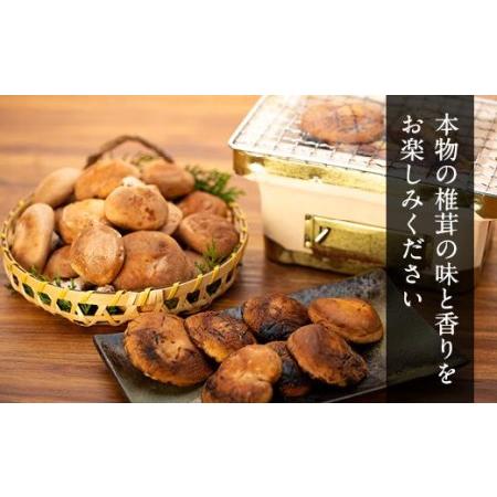 ふるさと納税 希少・原木栽培！屋久島産・新鮮採りたて生椎茸　1kg（200g×5袋） 鹿児島県屋久島町