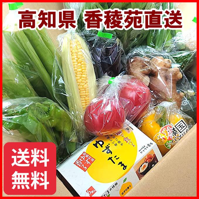 高知県産限定 農家直送 産直野菜たっぷり10品目以上＋たまご「ゆずたま」セット 採れたて 旬の新鮮お野菜 おまかせ詰め合わせ