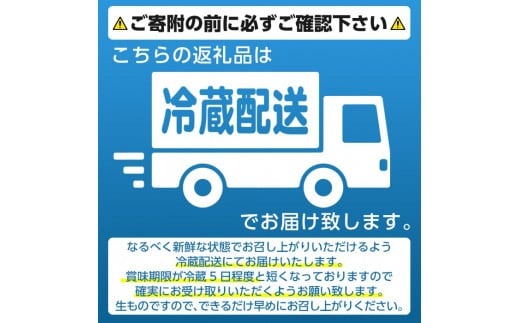 akune-24-4 ＜先行予約受付中！2024年6月下旬～8月下旬の間に発送予定＞数量限定！極甘！白いとうもろこし「雪やこんコーン」(16本)24-4