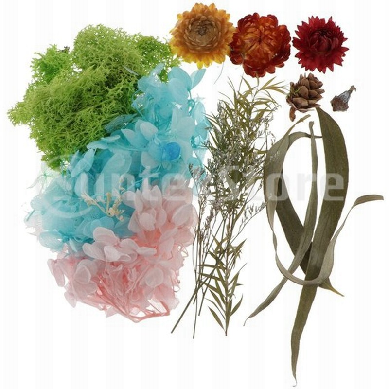 アートクラフトキャンドル石鹸カードhのための自然な本物の乾燥した押された葉の花 通販 Lineポイント最大0 5 Get Lineショッピング