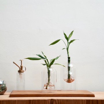 好好養水耕系列 - 漂浮燒杯